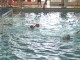 Thumbs/tn_Wasserball 19.09.09 004.jpg